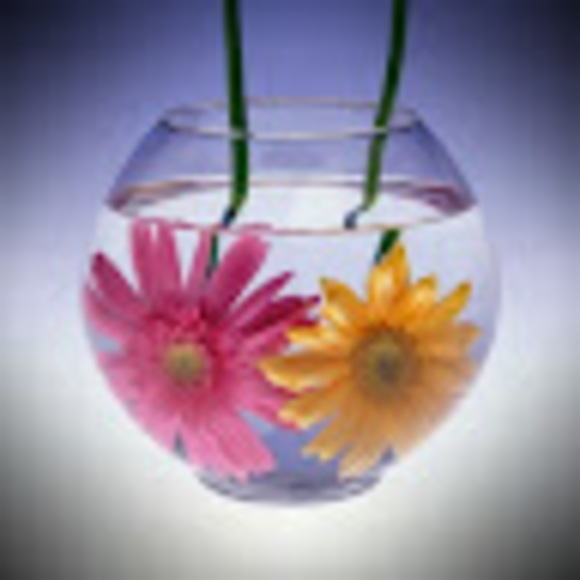 Meet your Posher, Patricia - Picture 1 of 1